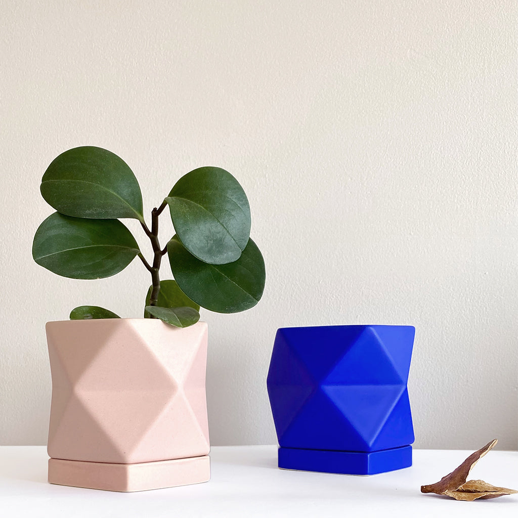 Maceta Pentagonal - Chica